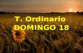 T. Ordinario DOMINGO 18 T. Ordinario DOMINGO 18 El Señor les dio un trigo celeste. SALMO (77) SALMO (77)
