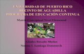 Matriz Conceptual Nivel Elemental Gladys Rosado Muñoz Norma I. Santiago Domenech.