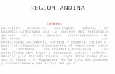 REGION ANDINA LIMITES La región Andina es una región natural de Colombia conformada por la porción del territorio surcado por tres ramales septentrionales.