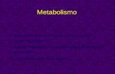 Metabolismo 1.Producción y consumo de energía a partir de fuentes exógenas y endógenas 2.Síntesis y degradación de componentes tisulares estructurales.