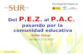Zaitegi, Nélida Del P.E.Z. al P.A.C. pasando por la comunidad educativa Nélida Zaitegi Sevilla 13/11/2012.