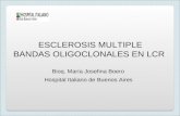 ESCLEROSIS MULTIPLE BANDAS OLIGOCLONALES EN LCR Bioq. María Josefina Boero Hospital Italiano de Buenos Aires.