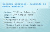 Equipo: “Yellow Submarine” Campus: UVM Campus Roma Integrantes: Alejandre Espejel Alexa Becerril Bernal Diana Laura. Flores Ramos Alma Guadalupe, Hernández.