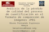 Análisis de la pérdida de calidad del proceso de cuantificación en el formato de compresión de imágenes JPEG Bruno Fernando Espinoza Amaya bespinoza@ieee.org.