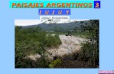 PAISAJES ARGENTINOS 3 J U J U Y Calilegua – Río Aguas Negras.