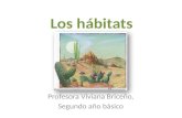 Los hábitats Profesora Viviana Briceño, Segundo año básico.