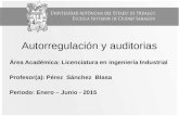 Autorregulación y auditorias Área Académica: Licenciatura en ingeniería Industrial Profesor(a): Pérez Sánchez Blasa Periodo: Enero – Junio - 2015.