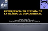 Susana Pérez Bru Servicio de Cirugía General Hospital Universitario San Juan de Alicante XXVI Curso de Cirugía General. Sociedad Valenciana de Cirugía.