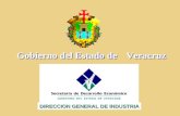 Gobierno del Estado de Veracruz DIRECCION GENERAL DE INDUSTRIA.
