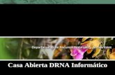 Casa Abierta DRNA Informático. Contenido Meta Proyecto de Informática Puerto DRNA Servicios Disponibles Servicios en Proceso Demostración Puerto DRNA.