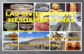 Preclásico: Olmecas. Clásico: Teotihuacanos, mayas y zapotecos. Posclásico: toltecas y mexicas.
