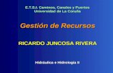 Gestión de Recursos RICARDO JUNCOSA RIVERA Hidráulica e Hidrología II E.T.S.I. Caminos, Canales y Puertos Universidad de La Coruña.