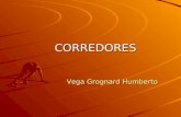 Estudio de la aceleracion y la velocidad en las carreras de atletismo Estudio de la aceleracion y la velocidad en las carreras de atletismo CORREDORES.
