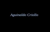 Aguinaldo Criollo Si la Virgen fuera andina y San José de los llanos, el Niño Jesús sería un niño venezolano.