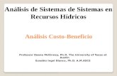 Análisis Costo-Beneficio Análisis de Sistemas de Sistemas en Recursos Hídricos Professor Daene McKinney, Ph.D. The University of Texas at Austin Eusebio.