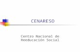 CENARESO Centro Nacional de Reeducación Social. FINALIDAD Brindar tratamiento medico, psicológico y social a personas comprometidas en el uso de drogas.