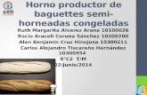 Horno productor de baguettes semi-horneadas congeladas Ruth Margarita Álvarez Arana 10100026 Rocío Araceli Corona Sánchez 10300200 Alan Benjamín Cruz Hinojosa.