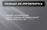 NOMBRE: NORMANOLIVO  CURSO: PRIMERO DE BACHILLERATO COMUN PARALELO «B»