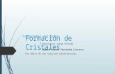 Formación de Cristales Por medio de una solución sobresaturada. Integrantes del Grupo:  Bravo Lino Jorge Alfredo  Edward Andrés Fernández Carranza.