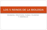 MONERA, PROTISTA, FUNGI, PLANTAE Y ANIMALIA LOS 5 REINOS DE LA BIOLOGIA.