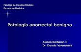 Patología anorrectal benigna Alonso Bolbarán C Dr. Dennis Valenzuela Facultad de Ciencias Médicas Escuela de Medicina.