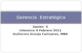 Sesión 5 Intensivo II Febrero 2011 Guillermo Granja Cañizares, MBA Gerencia Estratégica.