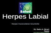 Herpes mucocutáneo recurrente Dr. Pedro A. Ricart Reyes ODONTOPEDIATRA.