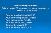 Familia Herpesviridae Existen más de 80 serotipos. Los más importantes en patología humana son: Virus herpes simple tipo I (VHH1) Virus herpes simple tipo.