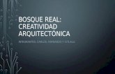 BOSQUE REAL: CREATIVIDAD ARQUITECTÓNICA INTEGRANTES: CARLOS, FERNANDO Y CITLALLI.
