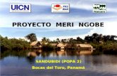 PROYECTO MERI NGOBE SANDUBIDI (POPA 2) Bocas del Toro, Panamá SANDUBIDI (POPA 2) Bocas del Toro, Panamá.