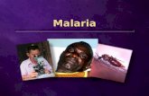 Malaria. ¿Qué es lo que causa la malaria?