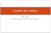Bio 225 Técnicas de cultivo de tejidos Cuarto de cultivo.