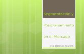 Segmentación y Posicionamiento en el Mercado ING. DENISSE AGUIRRE.