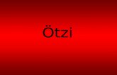 Ötzi ¿Qué es? Ötzi es la momia humana natural más antigua conocida. Fue un habitante de la zona de los Alpes austriacos, del 3300.A.C. aproximadamente.