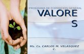 VALORES Ms. Cs. CARLOS M. VELASQUEZ C. PROGRAMA DE FORMACION GENERAL.