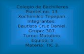 Colegio de Bachilleres Plantel no. 13 Xochimilco Tepepan. Integrantes: Bautista Cruz Daniel. Grupo: 307. Turno: Matutino. Equipo: 5 Materia: TIC 3.