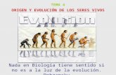 TEMA 4 ORIGEN Y EVOLUCIÓN DE LOS SERES VIVOS Nada en Biología tiene sentido si no es a la luz de la evolución. Dobzansky.