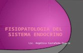 Lic. Angélica Castañeda Duarte. Generalidades.  El sistema Endocrino está formado por Glándulas.  Su función principal es conservar la homeostasis.