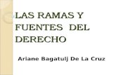 LAS RAMAS Y FUENTES DEL DERECHO Ariane Bagatulj De La Cruz.