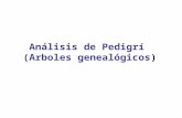 Análisis de Pedigrí (Arboles genealógicos). Análisis de genes autosómicos recesivos.