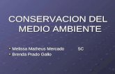 CONSERVACION DEL MEDIO AMBIENTE Melissa Matheus Mercado 5C Brenda Prado Gallo.