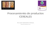 Procesamiento de productos CEREALES Dr. Ivan Salmerón Ochoa isalmeron@uach.mx.