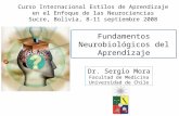 Fundamentos Neurobiológicos del Aprendizaje Dr. Sergio Mora Facultad de Medicina Universidad de Chile Curso Internacional Estilos de Aprendizaje en el.