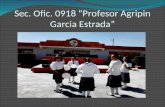Sec. Ofic. 0918 “Profesor Agripin Garcia Estrada”.
