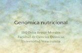Genómica nutricional IBQ Delia Araujo Morales Facultad de Ciencias Químicas Universidad Veracruzana.