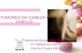 TUMORES DE CABEZA Y CUELLO Marianne Bustamante Pizarro VI º Medicina USACH Interna Cirugía HBLT.