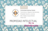 PROPIEDAD INTELECTUAL En la Globalización Universidad Anáhuac Puebla Licenciatura en Negocios Internacionales Propiedad Industrial y Licencias Mtro. Esteban.