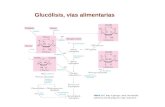 Glucólisis, vías alimentarias. Tipo Nombre y enzima deficiente MetabolismoSíntomasTratamiento Tipo 1Galactosemiac lásica Deficiencia en Gal-1P uridinil.
