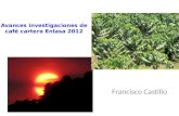 Avances investigaciones de café cartera Enlasa 2012 Francisco Castillo.