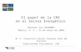 El papel de la CRE en el Sector Energético Reunión con COPARMEX México, D. F., 15 de enero de 2009 M. C. Francisco Xavier Salazar Diez de Sollano Comisionado.